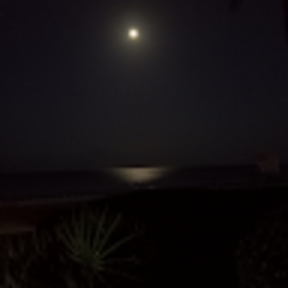 Meet your Posher, Shernett